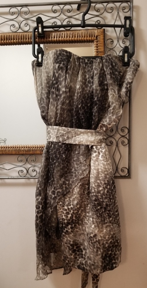 Leopard Strapless Dress